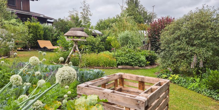 Blick in den Garten