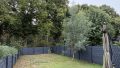 Pflegeleichter Garten 
