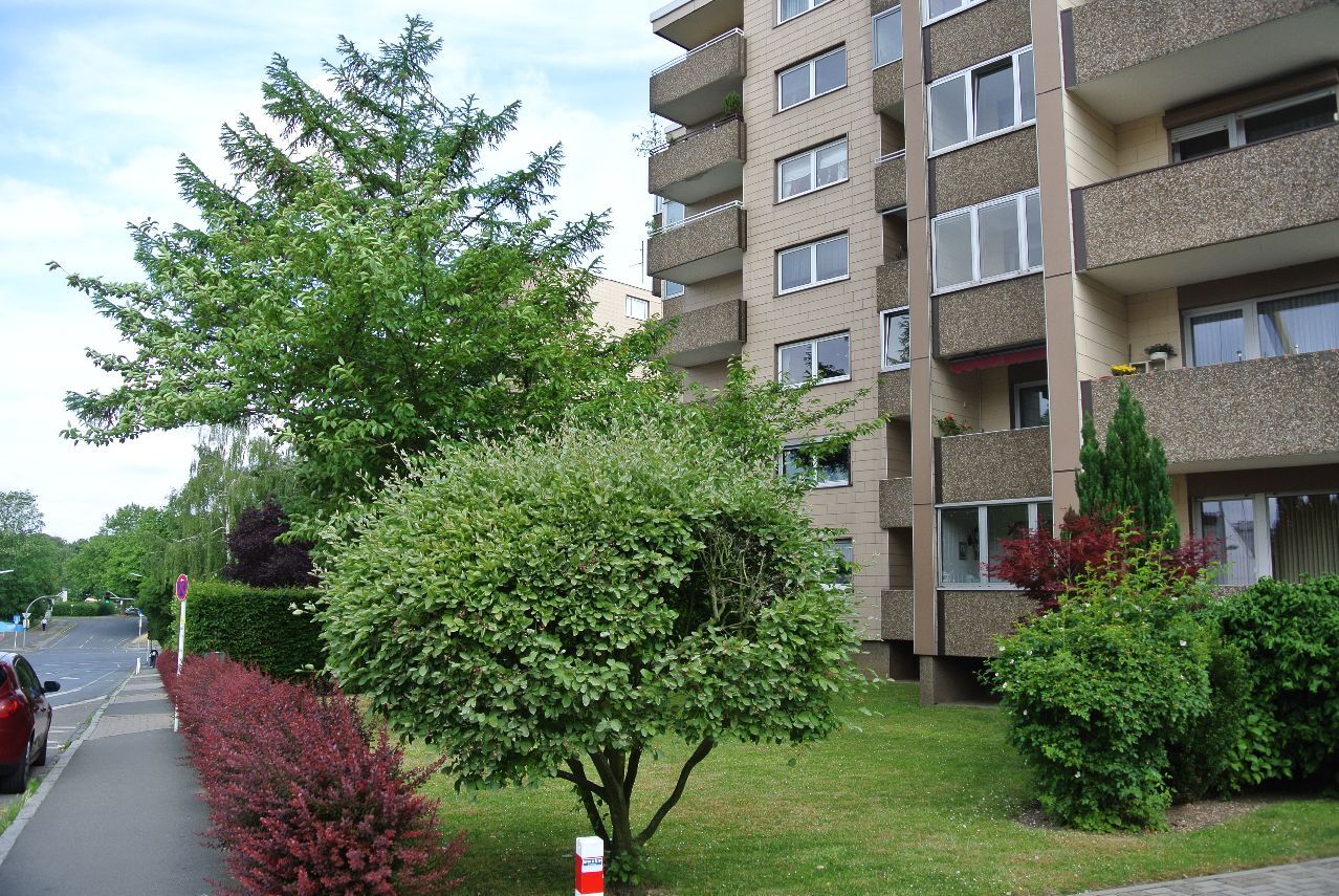 Foto der Immobilie (579509)