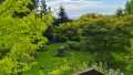 Blick in den Garten