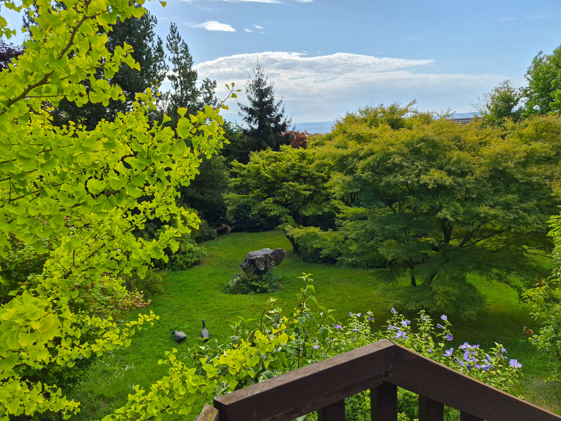 Blick in den Garten