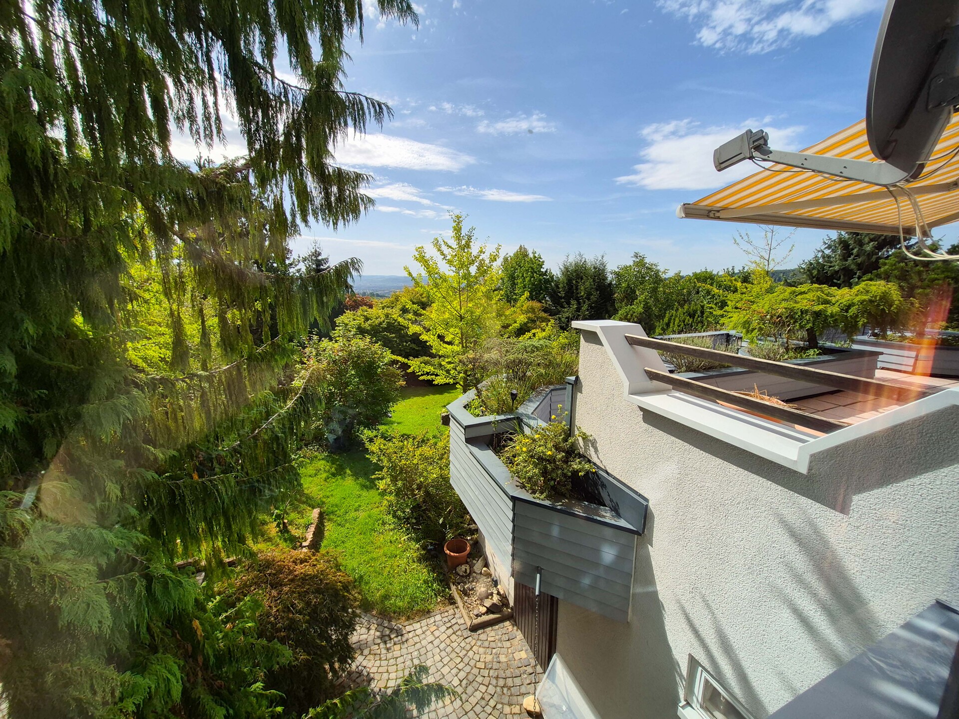 Blick in den Garten